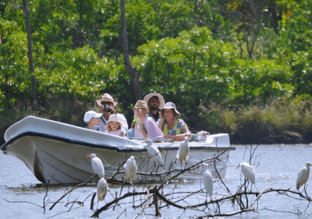Transit Tour 1 special transit tours sri lanka